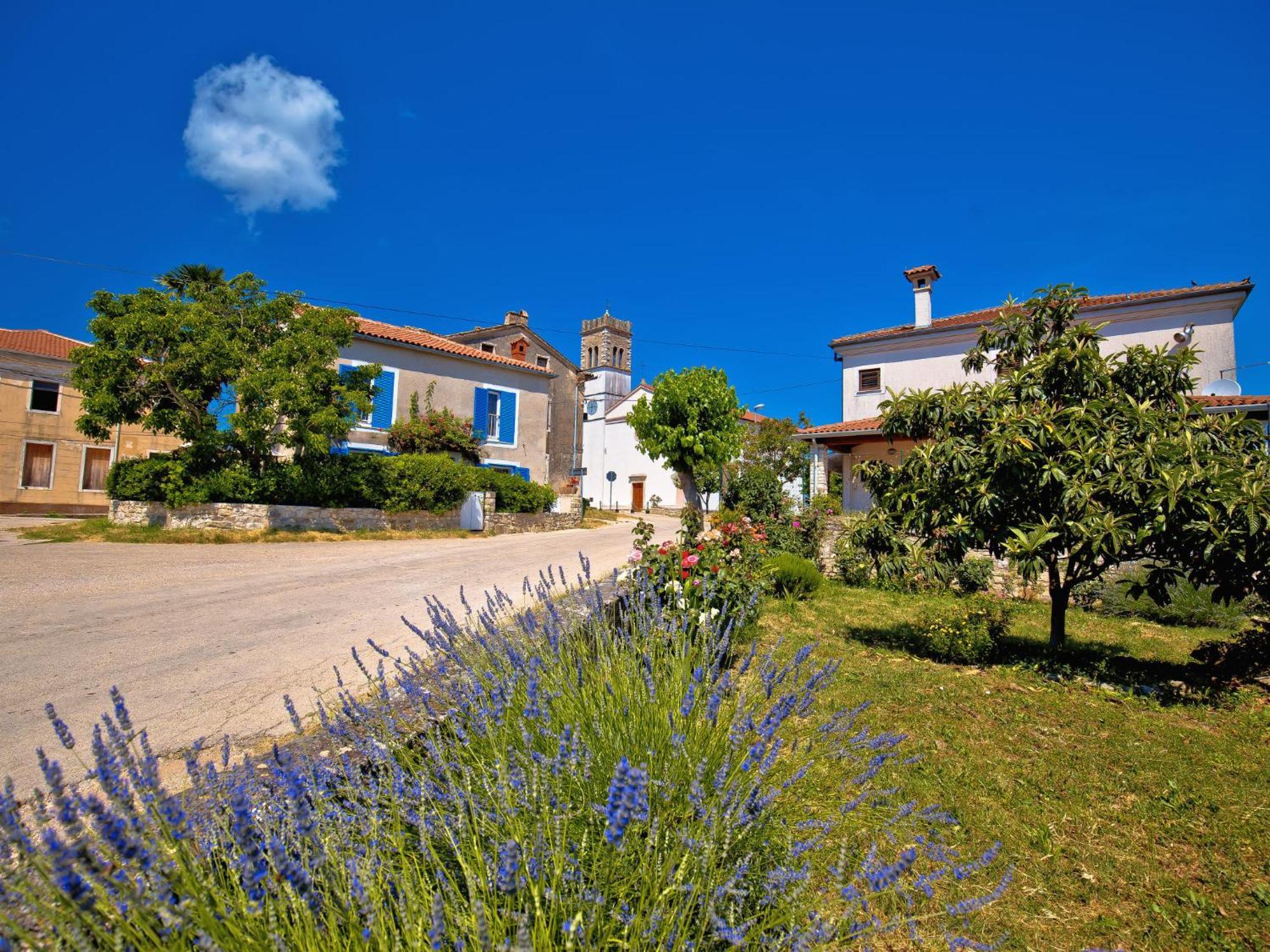 Holiday Home Villa Lucky By Interhome Brtonigla Εξωτερικό φωτογραφία